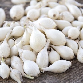 TomorrowSeeds - Snowball White Onion Sets (Starter Bulbs) -4 Pounds | Planting Noon Day Set for Growing Gardening Vegetable Scallion Green Seed 2025