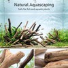20 Pcs Natural Driftwood Pieces Branch Slices Craft Sticks Beach
