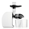 MegaWise Cold Press Slow Masticating Juicer – Quiet Motor, Soft