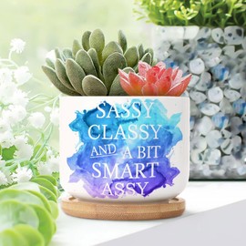 DecStic Sassy Classy and Smart Assy Planters Ceramic Quote Saying Round Plant Pots with Drainage Holes and Bamboo Tray Pot for Succulents Cactus Garden Windowsill