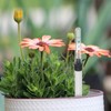 IMIKEYA Watering Indicator Large, 36 cm, Water Level Indicator for