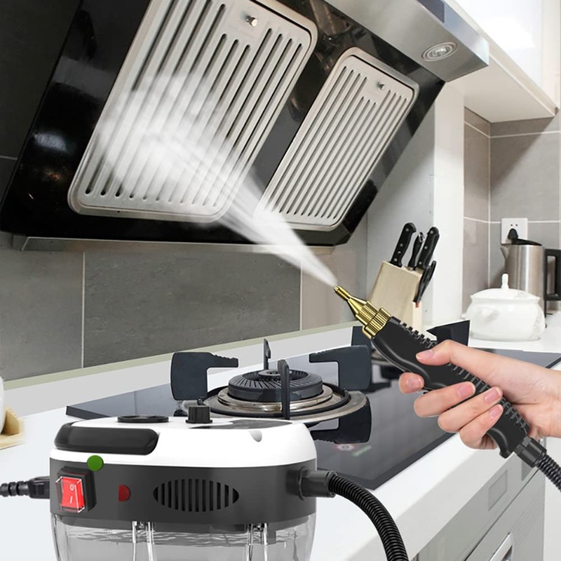 Handheld Steam Cleaner, 2500W 110V Portable Pressurized Steamer with 6