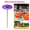 Bird Feeder - Bird Baths for Outdoors | Garden Bath