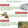 ZHAO GE Pack of 33 Branch Supports for Fruit Trees,