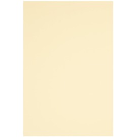 Netuno 25 Sheets of Craft Card Ecru DIN A4 210 x 297 mm 160 g Circolor Jasmine Colour Card A4 Ecru Coloured Paper Printer Paper Coloured Paper Environmental Office Paper Printable Coloured Eco
