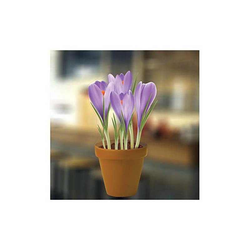 Small Crocuses in a Pot Flower Window Sticker - Static