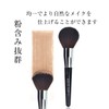 SIXPLUS F31 Large Size Powder Brush (Black)
