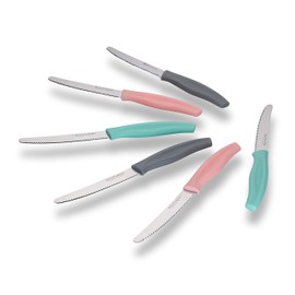 ECHTWERK Set di 6 coltelli da pane (acciaio inox con bordo seghettato, manico in plastica, 2 rosa, 2 grigi e 2 turchesi)