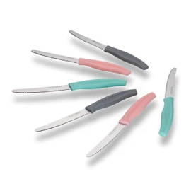 ECHTWERK Set di 6 coltelli da pane (acciaio inox con bordo seghettato, manico in plastica, 2 rosa, 2 grigi e 2 turchesi)