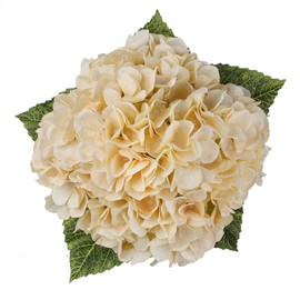 2Bouquets Artificial Fake Flowers Plants Silk Hydrangea Arrangements Wedding Bouquets Decorations Plastic Floral Home Kitchen Garden Party Festival Bar DIY (Champagne，5 Flower Heads)