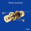 XFORT Entrance Knob Set Polished Brass, Tulip Design Door Lock