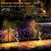 ArilAril Solar Lights Garden Lights Decorative Lights IP65 Waterproof Automatic