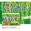 ITO 100% Barley Young Leaves Powder 3g×30 Bags (o-mugi wakaba)