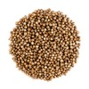 Coriander Seed Organic Gourmet Quality - Cilantro Seeds For Elevating Dishes 200g
