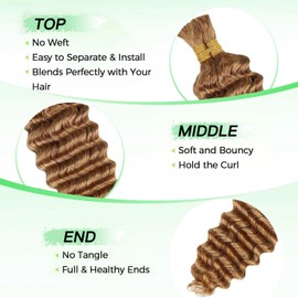 Deep Wave Bulk Human Braiding Hair 100g 16 Inch 2 Bundles Blonde Human Braid Hair for Boho Braids No Weft Color 27 Curly Brazilian Braiding Hair Extensions for Micro Braid