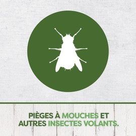 Pyrel Fly Traps and Fruit Flies - Window Stickers, Iris Purple, Pack of 4