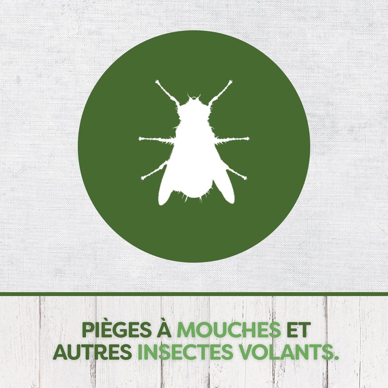 Pyrel Fly Traps and Fruit Flies - Window Stickers, Iris