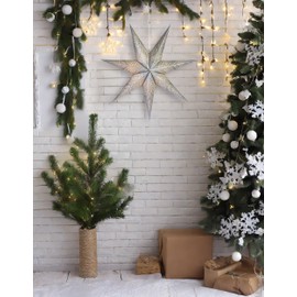 BRUBAKER 60 cm Paper Christmas Star for Hanging - LED Advent Star for Christmas Decoration and Windows - 3D Paper Star with Timer Function - Hanging Luminous Star - Silver