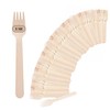 LifeGreen Disposable Wooden Forks