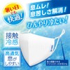 Icenon Cooling Mask 2 Pieces