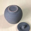 Landscape.com Hephamon, Salt Jar, Small, Black, Made in Japan