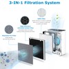 2 PACK HEPA Vital 100 Replacement Filter with 4 Extra