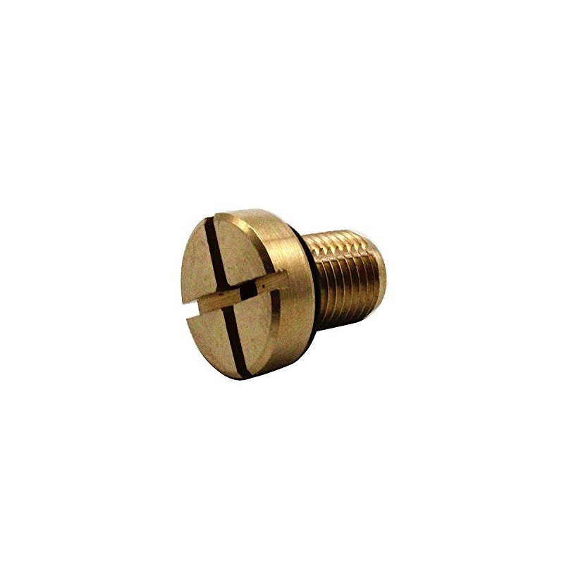 EVER STORE 17111712788 Coolant Bleeder Screw Compatible for E46 E92