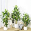 Artificial Decorative Tree 5ft with Leaves Plastic Indoor for Entryway