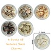 Gehaiwo 6 Boxes of Sea Shell Nail Charms,Summer Beach Ocean