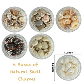 Gehaiwo 6 Boxes of Sea Shell Nail Charms,Summer Beach Ocean for Nails Design,Nail Art Supplies DIY