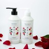 Rinren Remedial Additive-Free Shampoo Rose & Camellia (Refill) Spreading Hair