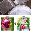 WenTao 50pcs Fruit Protection Bags 6x9 inch, White Mesh Drawstring