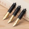 Asvine 3 PCS Fountain Pen Replaced Nibs, 6 Gold Plated