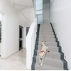 LAMINET Non-Slip Carpet & Stair Protector - Grey, 20' L