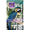 Johnson's Vet Macaw Large Bird Perch, Light Brown Wood, Contains
