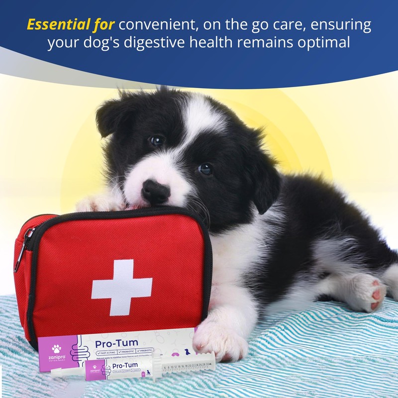 Zanipro Dog Diarrhea Treatment, Prebiotics & Probiotics for Dogs, Advanced