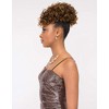 Janet Collection Playful Pineapple SPRINGY Ponytail (1B)
