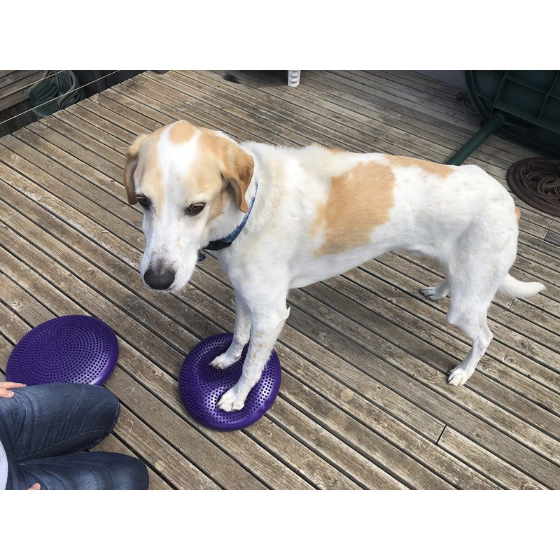 DEZAL Dog Balance Disc Cushion 14" - With 2 Exercises