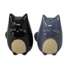 Novelty Cute Cats Black Grey Ceramic Salt & Pepper Jugs Set
