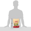 iLike! Sour Neon Gummy Bears Candy, Assorted Fruit Flavors, 2-Pound