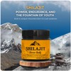 Beverly Healthcare Beverly Healthcare Shilajit Resin, Pure Himalayan Shilajit Resin
