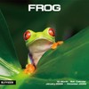 2026 Wall Calendar,Calendar 2026,Frog Monthly Wall Calendar, 12" x 24"