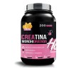 Creatina Monohidratada Heragen 1k 200 Sabores Mango