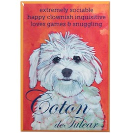 Coton Frise/ Coton De Tulear Fridge Magnet