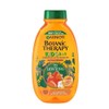 Garnier Whole Blends Kids 2-in-1 Shampoo, Apricot and Cotton Flower
