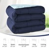 Homelike Moment California King Comforter - Blue Duvet Insert Down