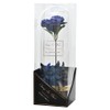 Champ de Fleur OB-EGN-6-2 Bath Salt, Tea Scent, Charmammoin Raffi,