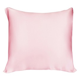 Lulusilk 16 Momme 100% Silk Pillowcase Hair and Skin Care Cushion Cover Wrinkle Resistant Pack of 1