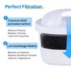 ICEPURE JFC001 Pitcher Water Filter Compatible with Brita Maxtra+/Maxtra/Mava, 1001122,