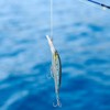 HONOREAL Deep Diving Minnow Sea Boat Fishing Artificial Simulation Hard